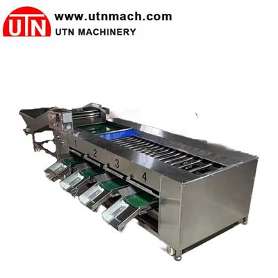 Avtomatik Apple Sorter